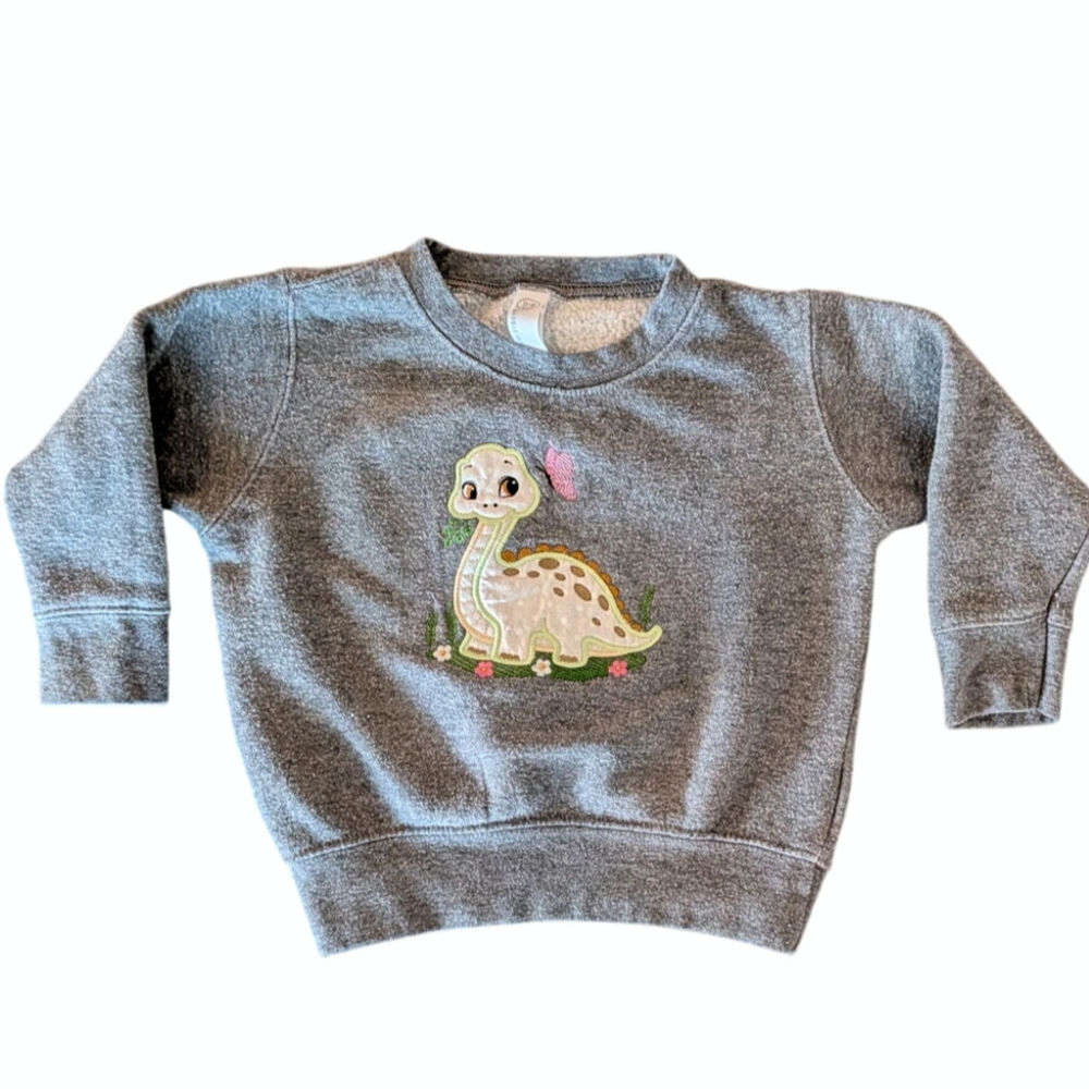 Dinosaur sweatshirt. Rabbit skins. Sz 2
